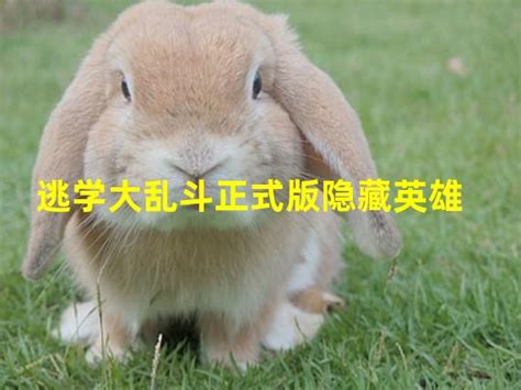 逃学大乱斗v3.4最终版隐藏英雄,正式攻略-兔宝宝游戏网