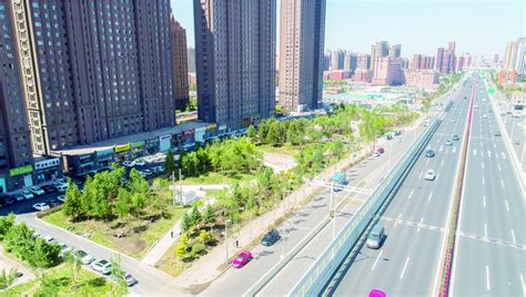 “立体增绿”让迎宾大道更具生命力-中国吉林网