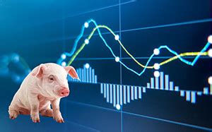 猪价呈现北跌南涨，屠宰企业降价意愿增强_猪价涨跌_财经_猪e网
