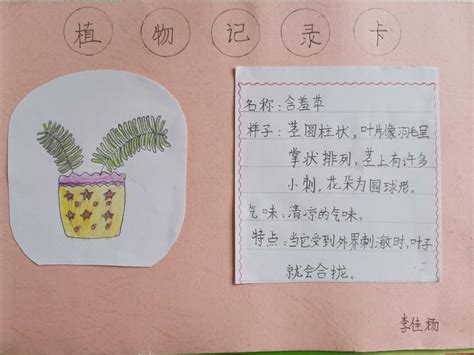 我的植物朋友作文三年级300字桃花怎么写-云作文
