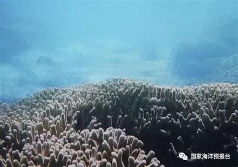 海南三沙现神秘海洋蓝洞:超300米 传说为南海之眼_荔枝网新闻