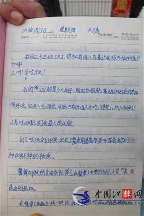 小学生日记400字Word模板下载_编号qrmenobe_熊猫办公