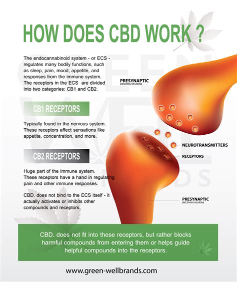 CBD et THC, quelles différences ? - Le CBD - La Ferme du CBD - Cannabis ...