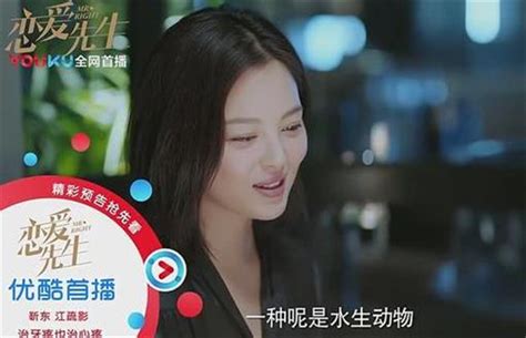 李乃文王丽坤主演的电视剧,婚巢讲的是什么故事-热聚社