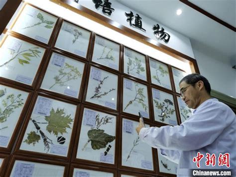 青海首次设立藏医药浴、中医肺病等专科联盟藏地阳光新闻网