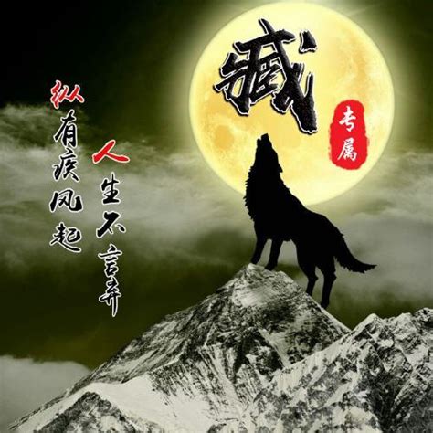 男头像狼图片