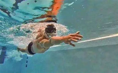 个人总结游好长距离自由泳的五大练习理念和训练方法 - 知乎