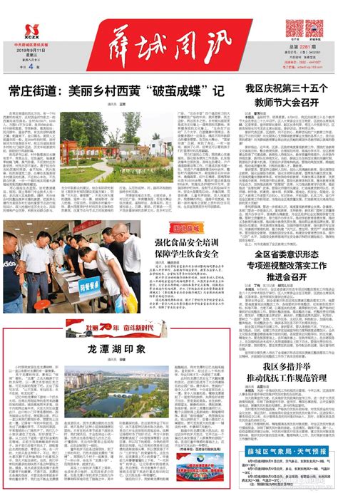 与树为友——薛城区荒山造林绿化工程6处 - 今报在线