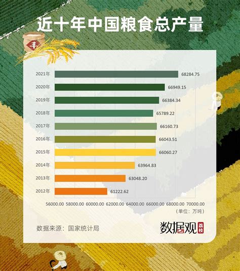 数说新中国丨五种主要粮食产量多年世界第一_ 视频中国