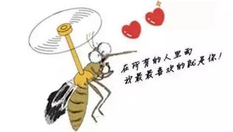 【什么血型招蚊子咬】【图】什么血型招蚊子咬 七大原因告诉你为什么受到蚊子青睐(3)_伊秀健康|yxlady.com