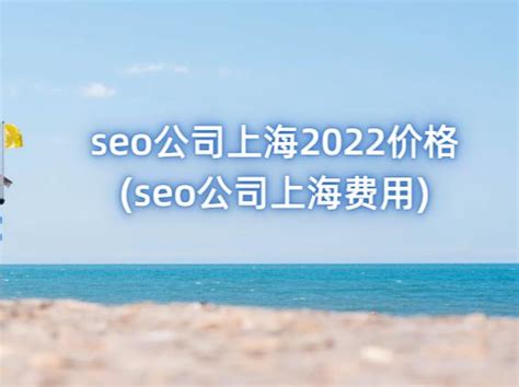 seo公司上海2022价格(seo公司上海费用) - 洋葱SEO
