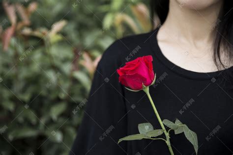 抱玫瑰花束的女生高清图片下载-正版图片500796749-摄图网