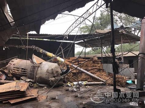 广西柳州一木材加工厂发生锅炉爆炸-木业网