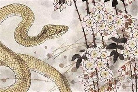 属蛇和属蛇的婚姻状况，属蛇女的婚姻怎么样_生肖_若朴堂文化