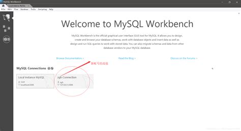 MySQL Workbench查询结果导出步骤_编程网
