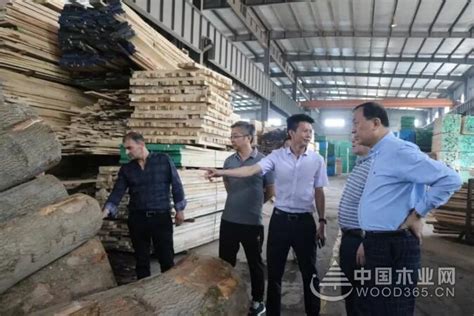 俄罗斯远东木业一行考察江苏江阴港国际木材交易中心-中国木业网