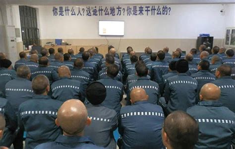 上海市新收犯监狱开放日：模拟还原监狱民警24小时执法全程