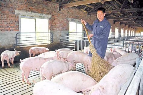 【劳动者之歌（十七）】天龙养猪股份合作社理事长刘志国：带领养猪户走规模养殖路 - 上游新闻·汇聚向上的力量