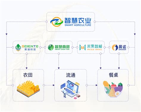 公司简介-广州市智慧农业服务股份有限公司——从农田到餐桌的数字化解决方案供应商