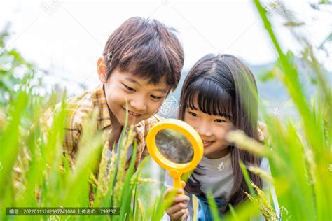 小朋友拿着放大镜观察植物,摄影素材,汇图网www.huitu.com