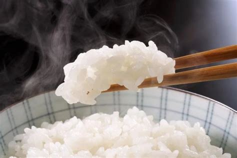 米饭的热量 100g大米360千卡(碳水化合物含量多)— 爱才妹生活