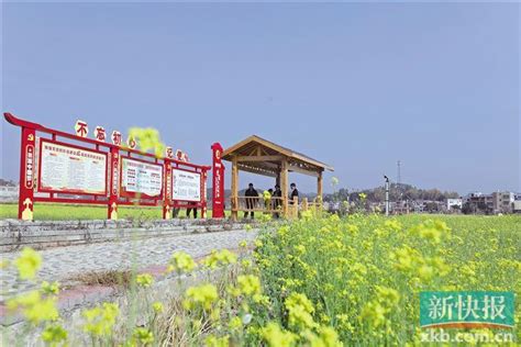 梅州五华县湖中村 撂荒地里“开出”产业振兴路|梅州|梅州市|扶贫_新浪新闻