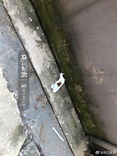 杭州一岁多男童7楼坠亡 邻居：小孩子的小床就在窗户边