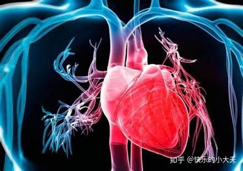 什么是心肌缺血原因（身体出现6种不适，是心肌缺血在"报警"，该看医生了） | 说明书网