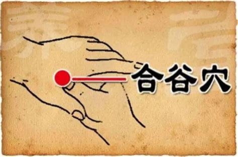 合谷穴位图图片