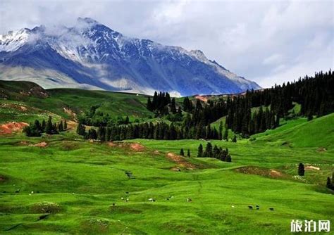 新疆巴音郭楞州若羌县发生3.3级地震|界面新闻 · 快讯