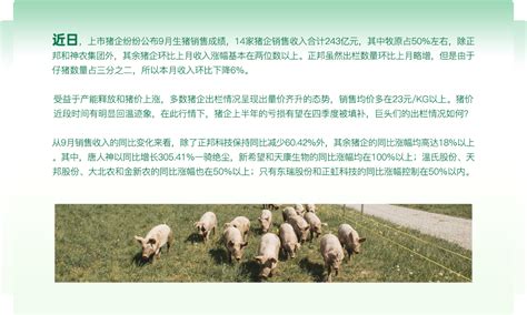 2022年9月各大上市猪企 最新生猪销售数据汇总 -- 中国养猪网,专业养猪门户