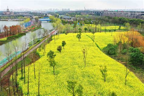 上海城市公园明起逐步有序开放，与春天的约会还是准时而来_视觉 _ 文汇网