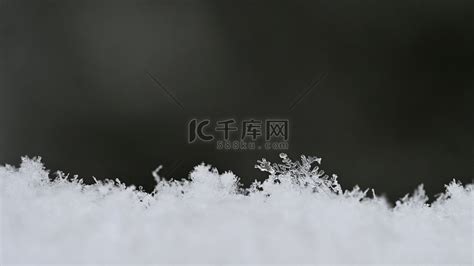 冰雪覆盖下的森林图片-冰雪覆盖下的森林风景素材-高清图片-摄影照片-寻图免费打包下载