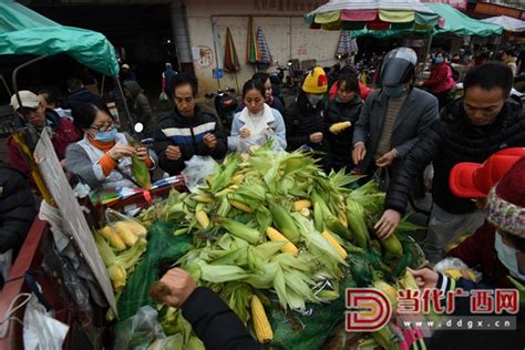 中国最全的蔬菜批发市场，就在这份数据里！ - 知乎