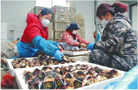“营销大咖”培育“千人社团团长” 疫情下乳山牡蛎线上渡难关-半岛网