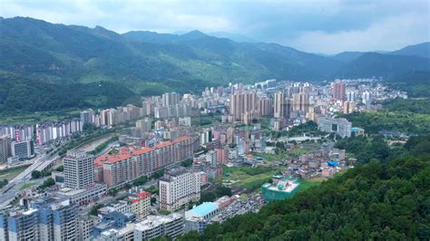 清远市2019年绿地森林资源本底调查-广州天地林业有限公司
