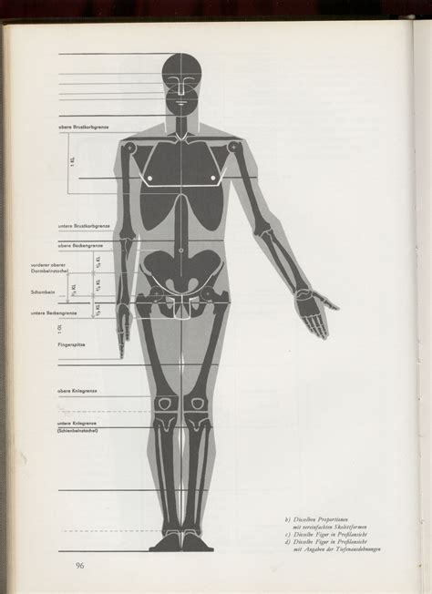 艺用人体解剖指南教程肌肉讲解人体画法人体漫画骨骼技法技巧 | 好易之