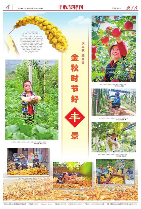 四川会东：堵格蔬菜产业提质增效 今年产值将达2000万余元_县域经济网