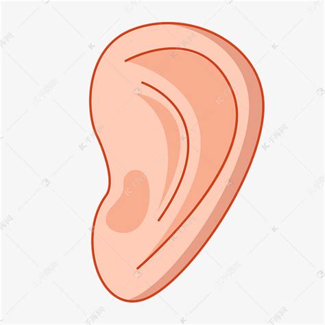 一只耳图片