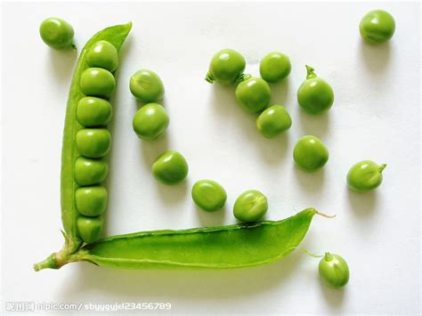 小豌豆