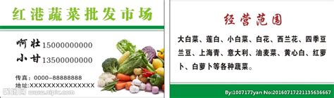 红港蔬菜批发名片设计图__名片卡片_广告设计_设计图库_昵图网nipic.com