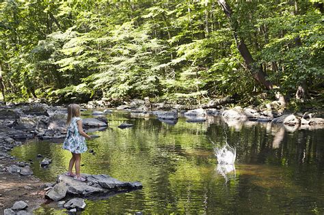 女孩向河里扔石头高清图片下载-正版图片501860008-摄图网
