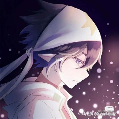 凹凸世界雷狮图片