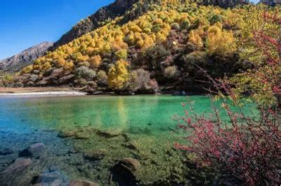 西藏山南市加查县宣传片_腾讯视频
