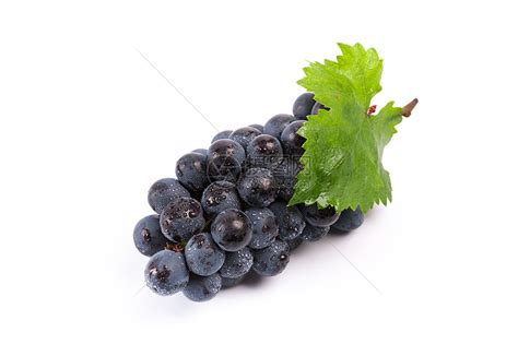 都知道，葡萄的英文是grape，那“提子”的英文是啥？ - 知乎