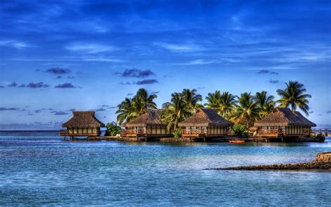 马尔代夫热带海滩棕榈树和蓝环礁湖很少高清图片下载-正版图片304262169-摄图网