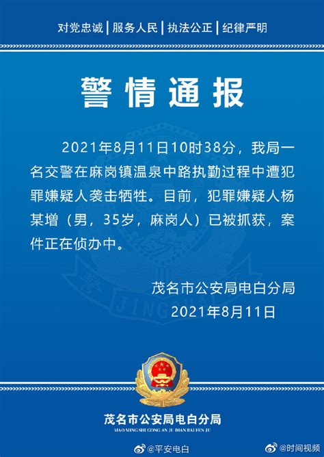 广东警方通报交警执勤时被人砍倒：犯罪嫌疑人已被抓获_手机新浪网
