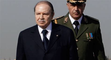 媒体：阿尔及利亚总统可能于4月2日辞职 - 俄罗斯卫星通讯社