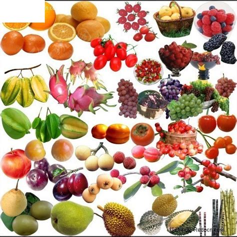 水果大全名字100种水果（100多种罕见水果欣赏） — 神奇养生网