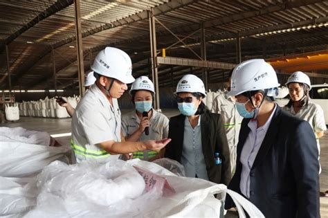 全力支持公司发展，老挝能矿部领导一行到访亚钾国际老挝钾肥生产基地视察指导_财富号_东方财富网